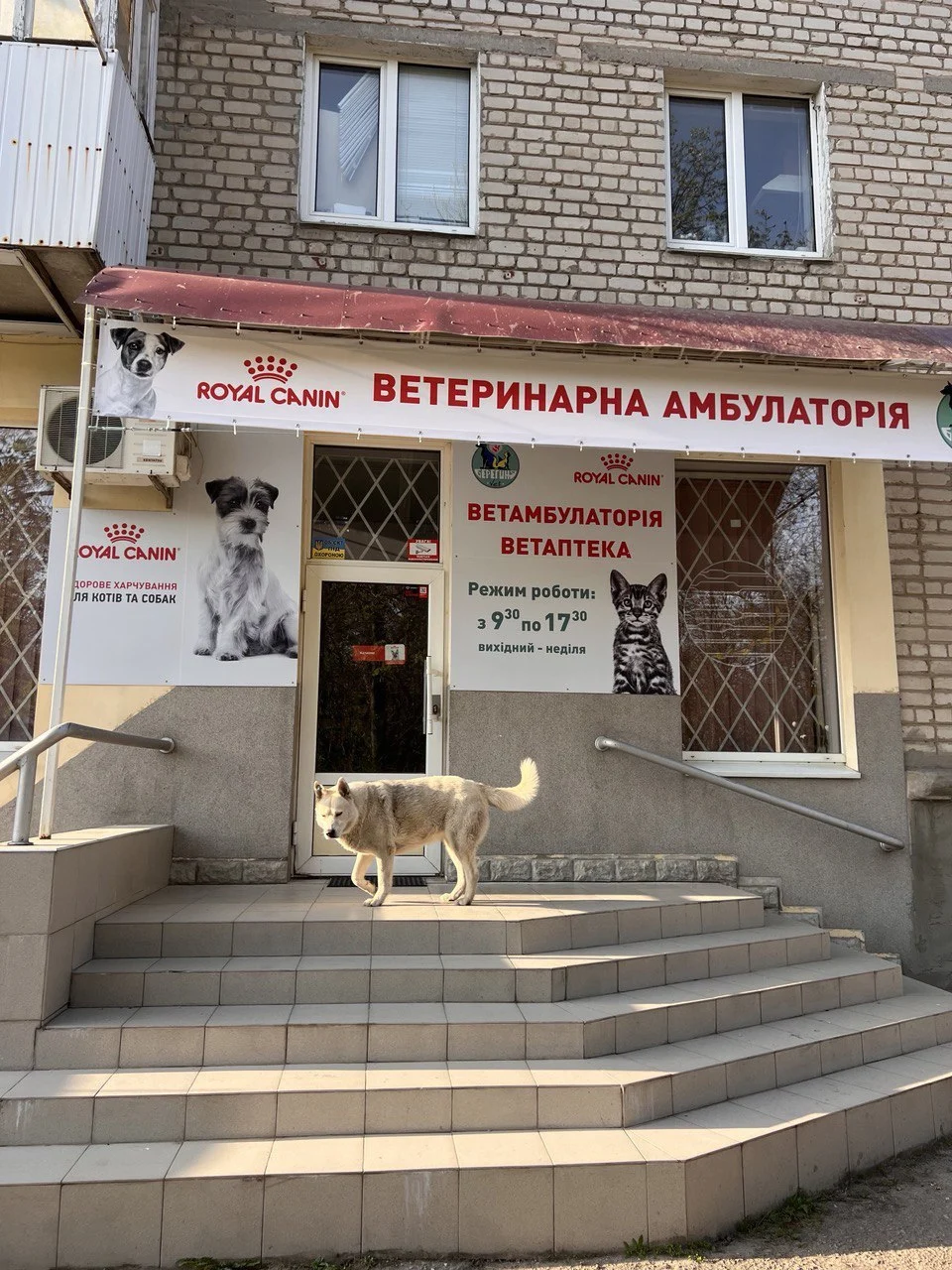 Ветеринарна амбулаторія - "Берегиня" - 2