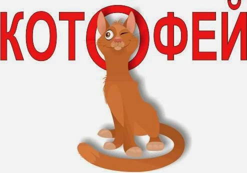 Ветеринарна клініка Котофей - 4