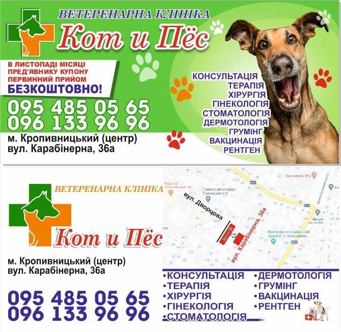 Ветеринарная клиника "Кот и Пёс" - 4