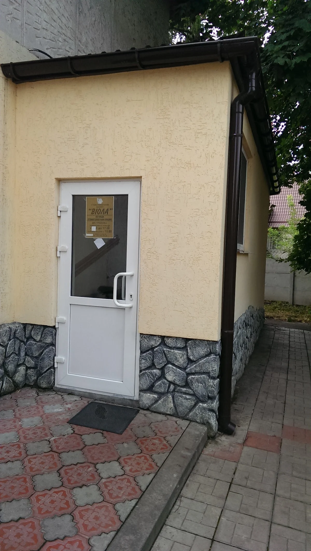 Віола